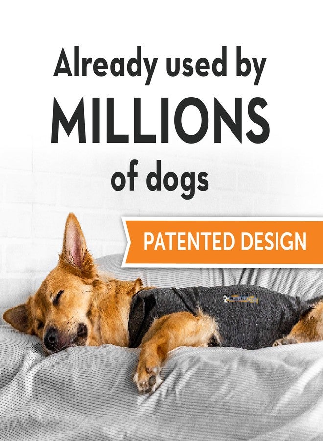 ثاندر شيرت قميص ثاندر شيرت للكلاب، صغير، رمادي فاتح كلاسيكي - سترة مهدئة لتخفيف قلق الكلاب - Image 2